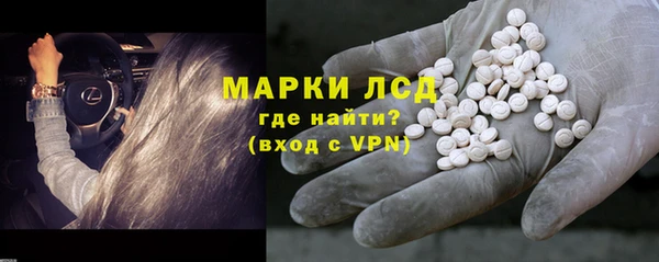 ECSTASY Богданович