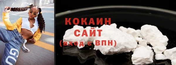 ECSTASY Богданович