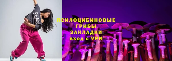 ECSTASY Богданович