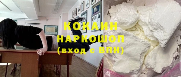 ECSTASY Богданович