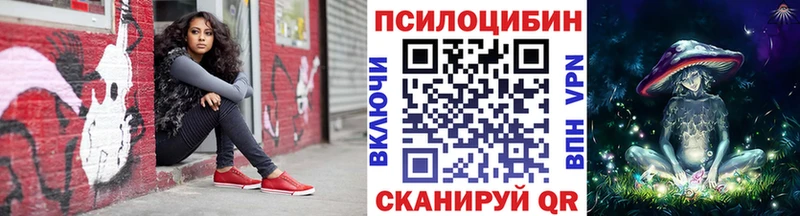 Галлюциногенные грибы Psilocybine cubensis  Межгорье 